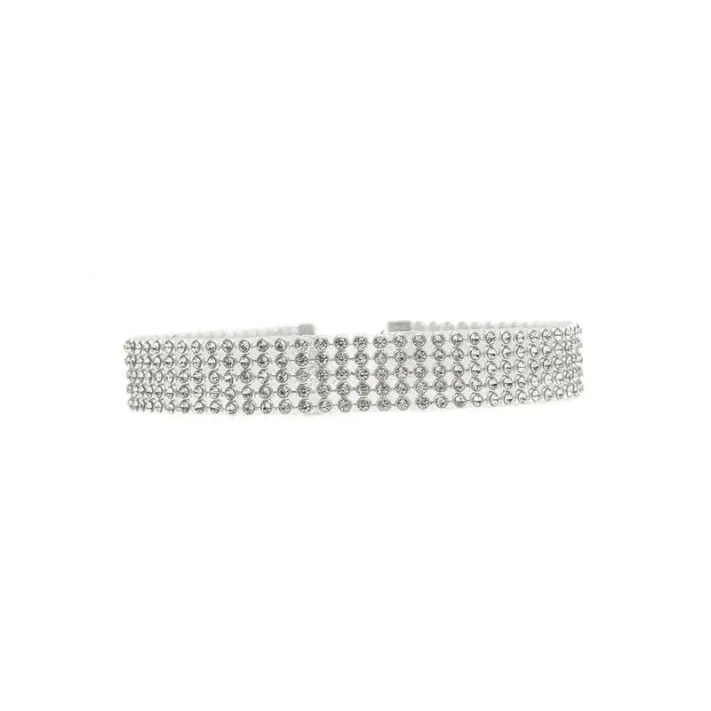 Elegant Rhinestone Choker Necklace