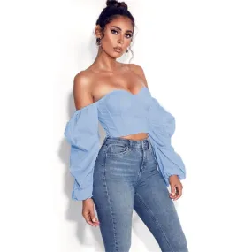 Off Shoulder Long Puff Sleeve Elegant Autumn Blouse