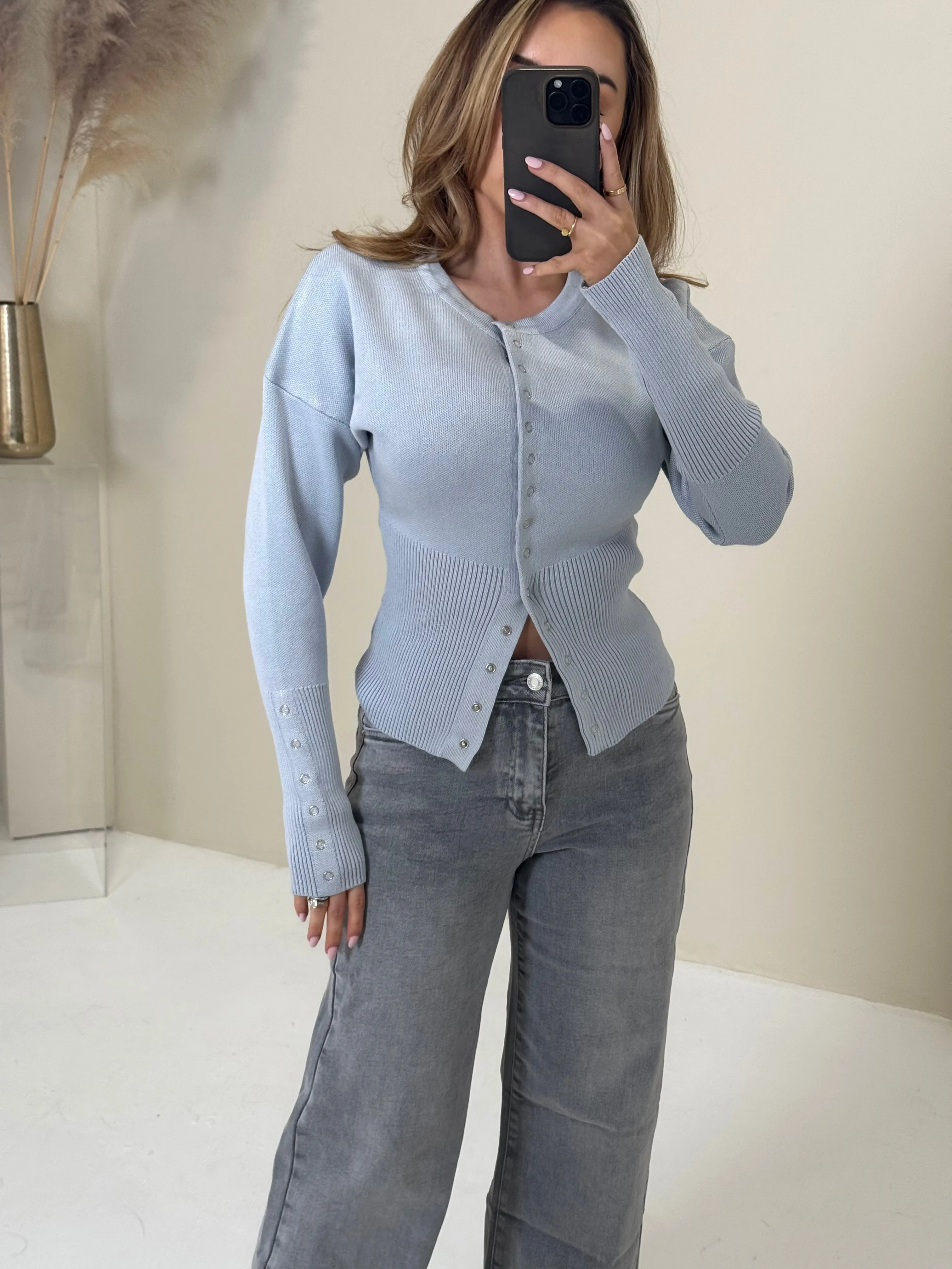 PRE ORDER SHIPS 21/02 VERA Long Sleeved Knit Button Up Cardigan In Baby Blue
