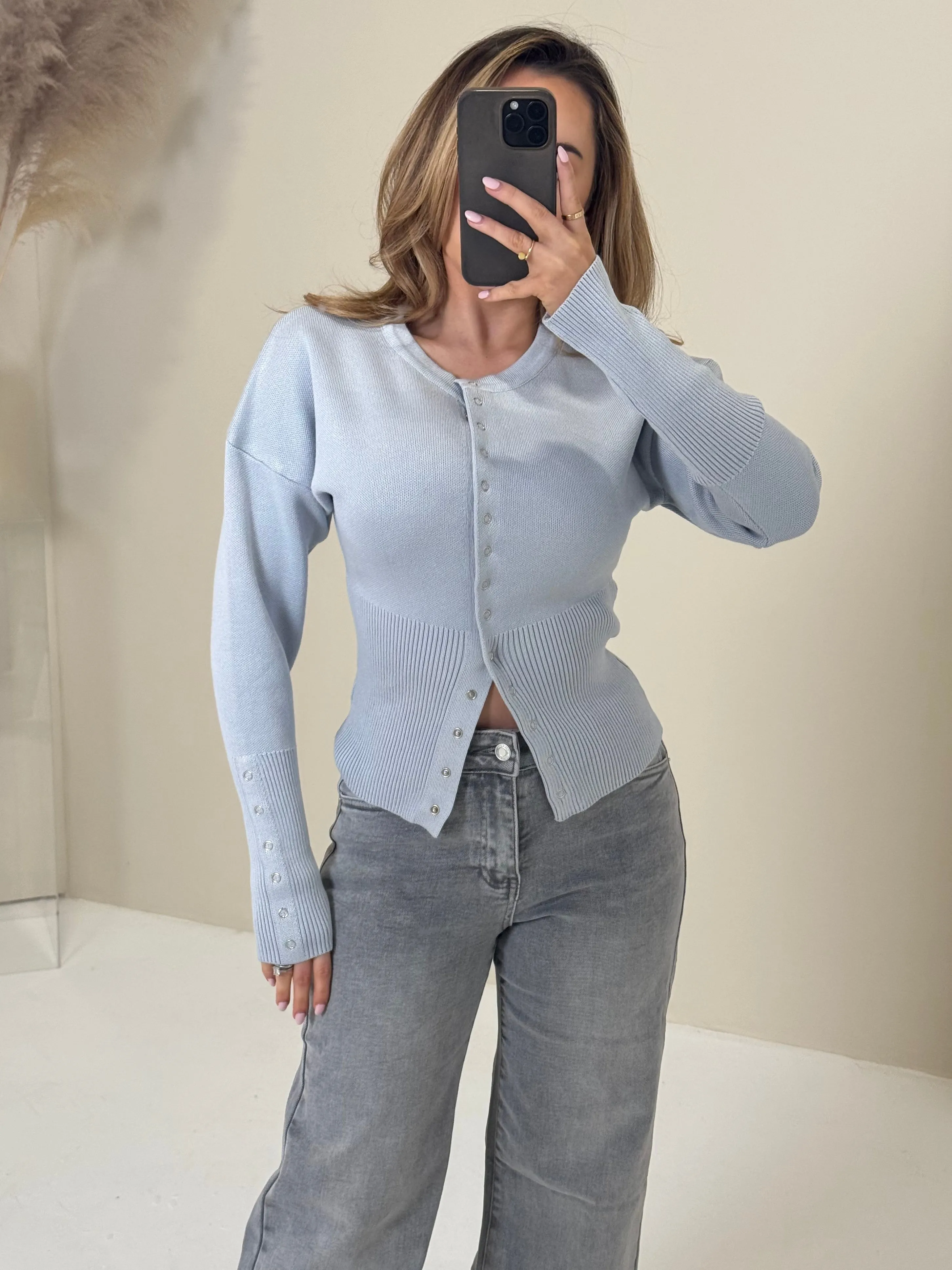 PRE ORDER SHIPS 21/02 VERA Long Sleeved Knit Button Up Cardigan In Baby Blue